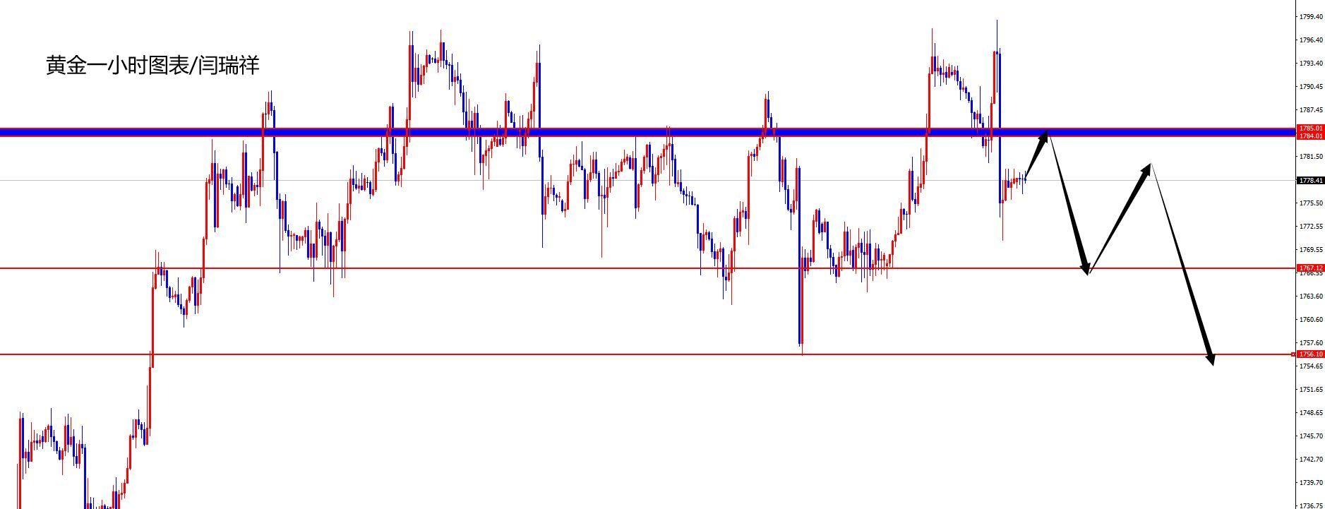 2024年10月08日:福汇：豪苑说明占用资金还款进度
